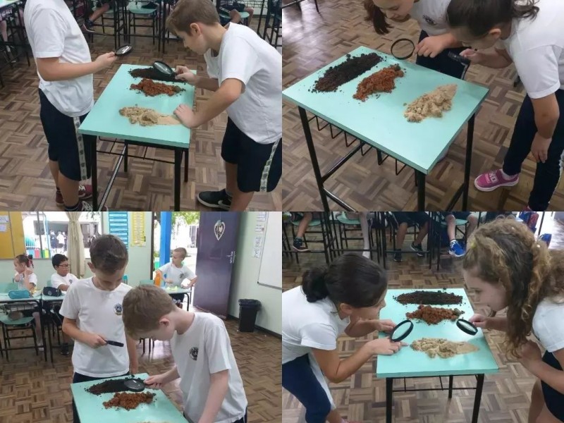 Tipos de solo